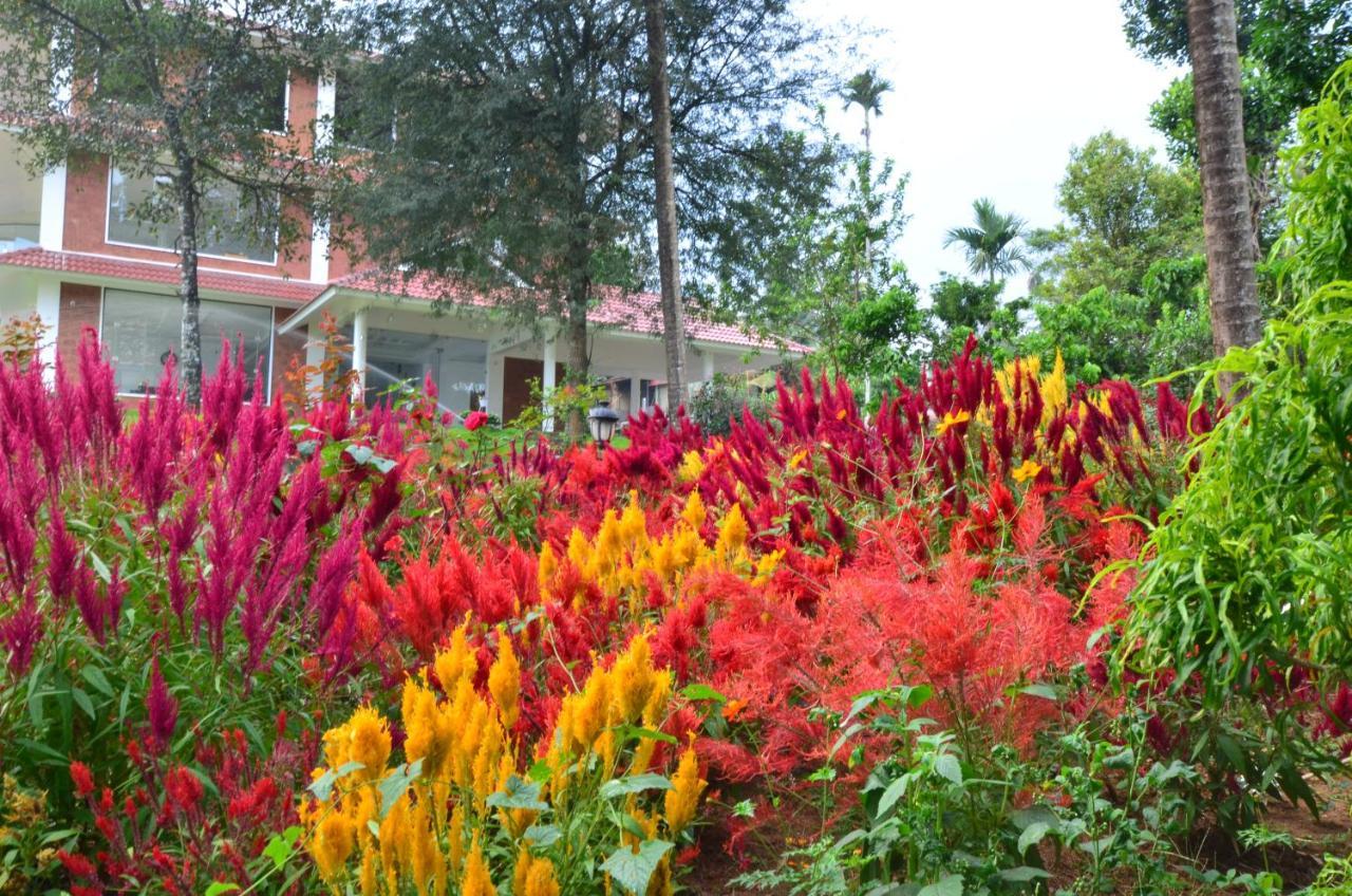 Lakerose Wayanad Resort Ambalavayal Exterior foto